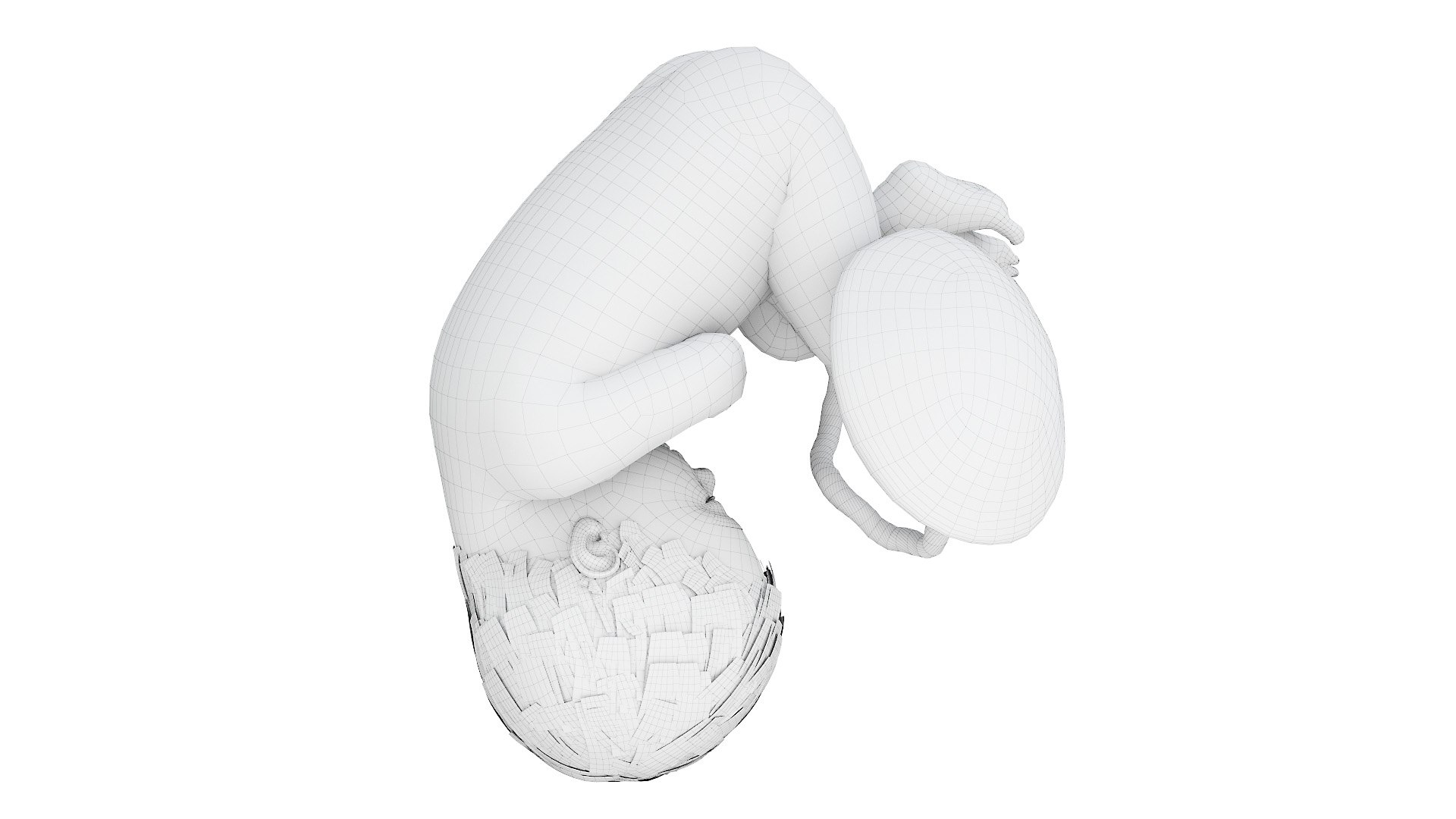 3D Fetus Week 37 Animated model https://p.turbosquid.com/ts-thumb/0d/kPV9CT/9Z/fetus_week37f_wire0004/jpg/1632856011/1920x1080/fit_q87/5cec125a355e4a3d53acae31c8c1ff8e4ebadbfc/fetus_week37f_wire0004.jpg