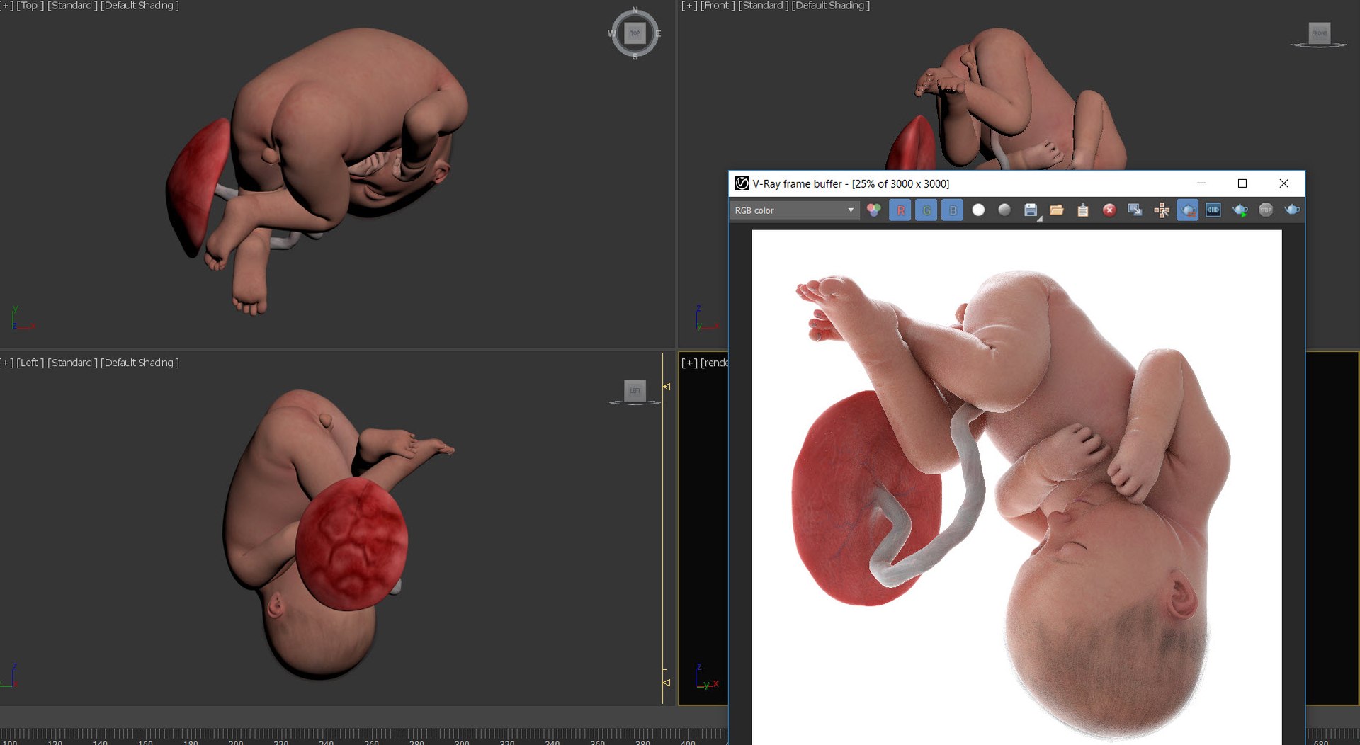 3D Fetus Week 37 Animated model https://p.turbosquid.com/ts-thumb/0d/kPV9CT/SL/viewport_week_37/jpg/1632997631/1920x1080/fit_q87/33d4f1bd51591ffa0f6e6c33e1421c774aa7468b/viewport_week_37.jpg