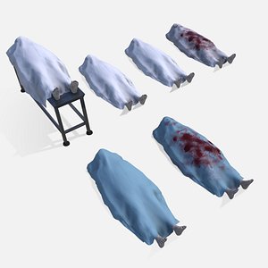 3D Covered Human Death Body Asset