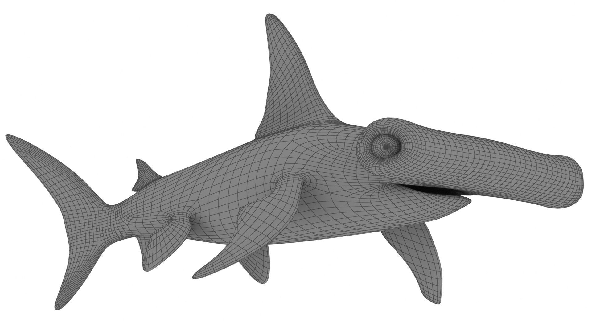 Cartoon Hammerhead Shark 3D Model - TurboSquid 2094652