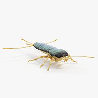 Silverfish Static
