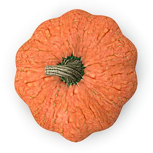 pumpkin max