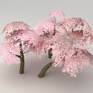 sakura set 3d max