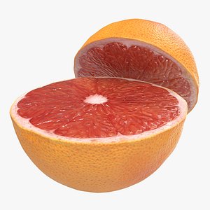 max grapefruit cross section 3