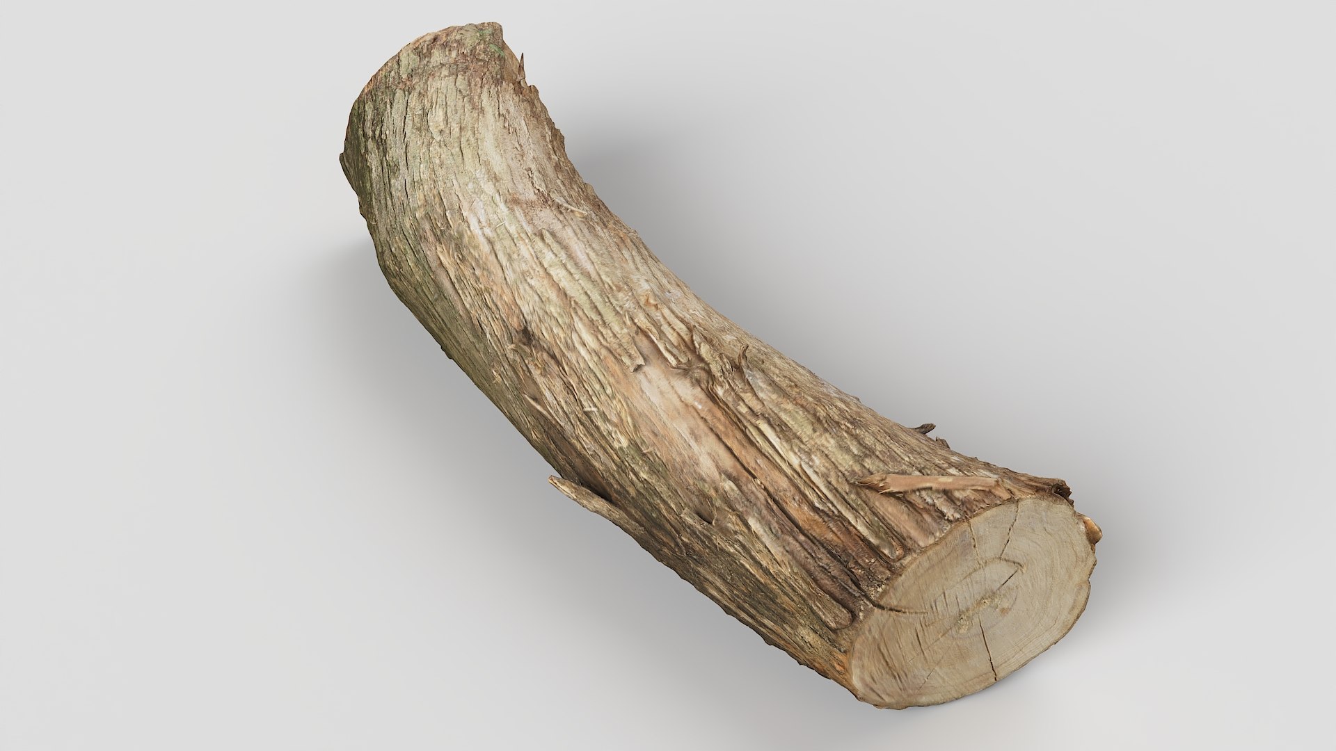 Tree Trunk 02 3D Model - TurboSquid 2136058