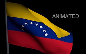flag physics 3d model