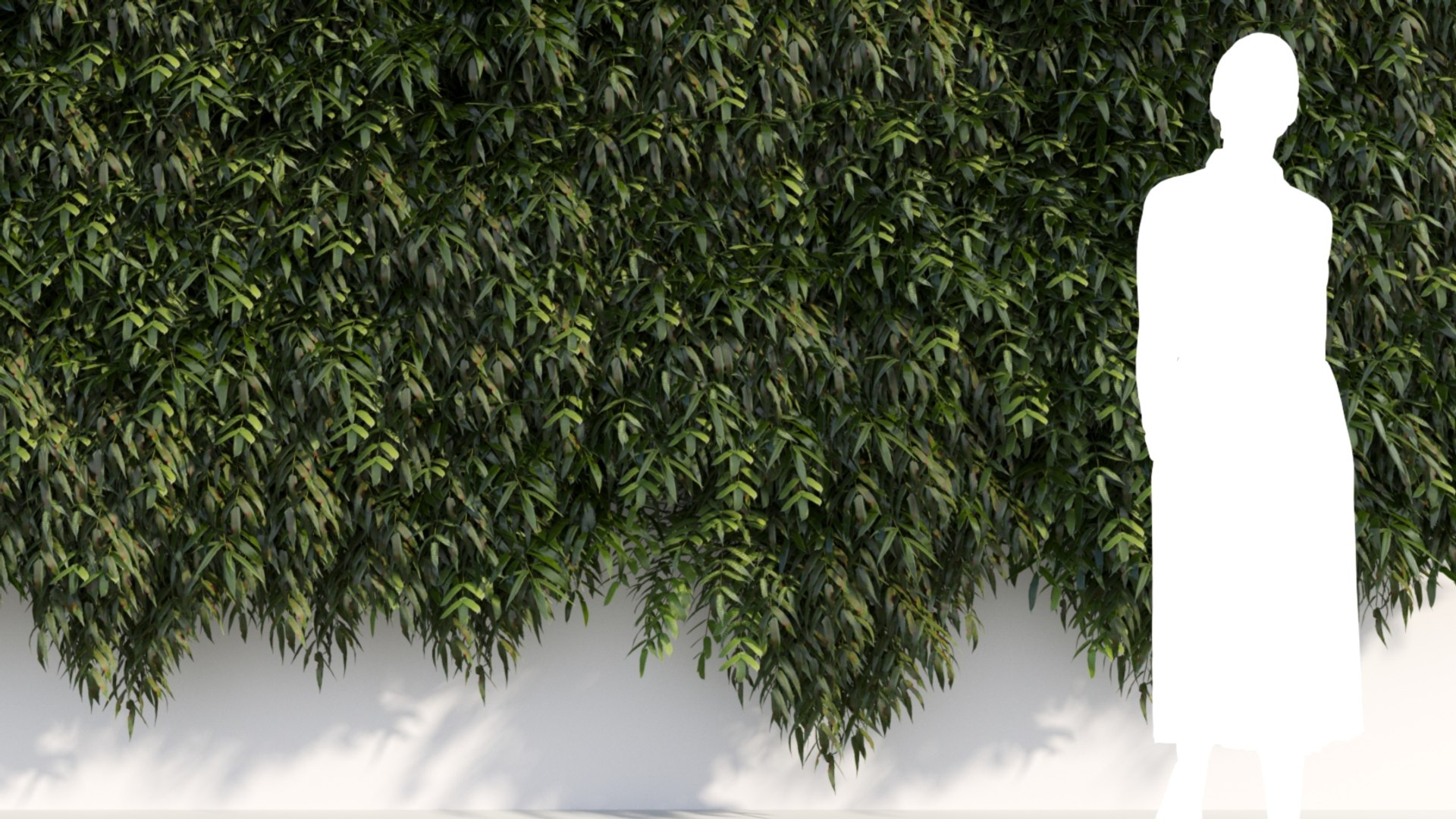 Coniogramme japonica a 3D model https://p.turbosquid.com/ts-thumb/0e/ZtvOpm/6H/coniogrammejaponicaa_10/jpg/1718176546/1920x1080/fit_q87/c20665f85f000700de5d3c03d6157c7d14b2a505/coniogrammejaponicaa_10.jpg