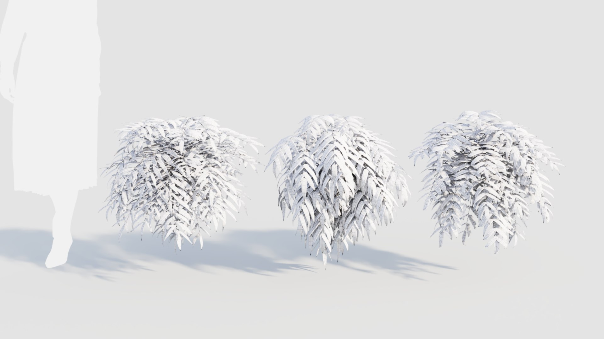 Coniogramme japonica a 3D model https://p.turbosquid.com/ts-thumb/0e/ZtvOpm/N6/coniogrammejaponicaa_2/jpg/1718176542/1920x1080/fit_q87/e639438ac8664318063103a404c81ab08068ff66/coniogrammejaponicaa_2.jpg