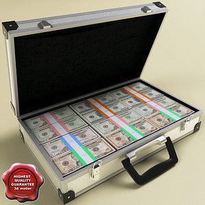3d model of suitcase dollars