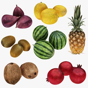 3D model Exotic Fruits