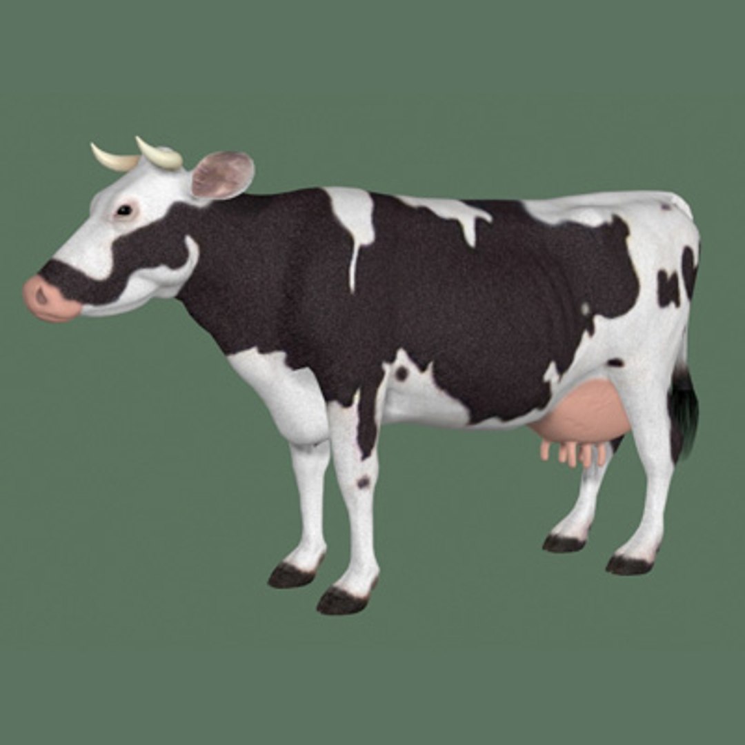 bull camel cheetah 3d model https://p.turbosquid.com/ts-thumb/0e/j3xJYN/u2MIIvAt/cow1_cam/jpg/1026152152/1920x1080/fit_q87/02cd27fdc9fab7f86e0dd2022712ca36be8e3790/cow1_cam.jpg