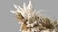 3D decor pampas grass dried