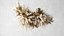 3D decor pampas grass dried