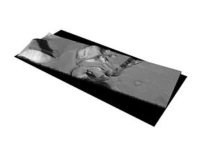 3D MARS VR - Possible Fissure Source for Floodwaters model