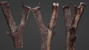 Log splited 3D model
