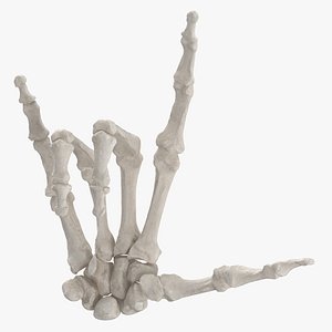 Real Human Hand Bones White I Love You Sign