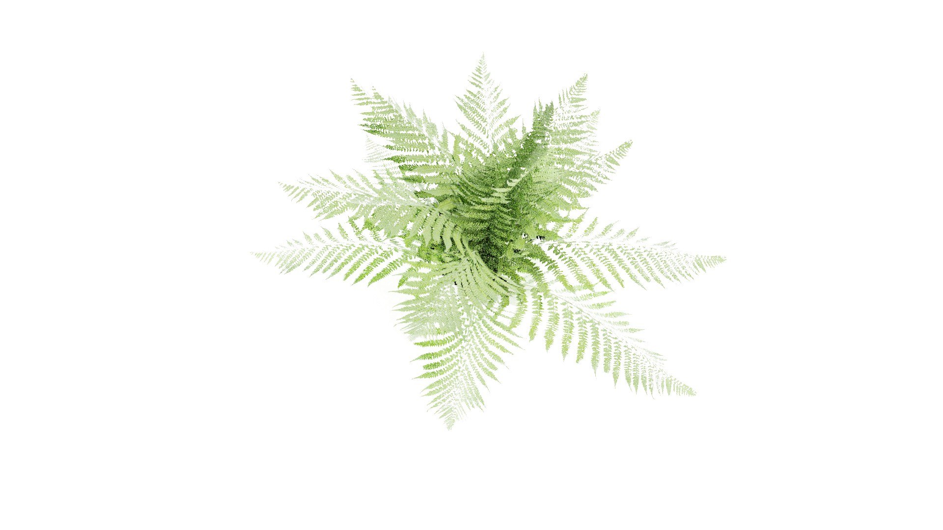 3D Farn https://p.turbosquid.com/ts-thumb/0f/2Q3SAD/7O/unti333tled/jpg/1632344901/1920x1080/fit_q87/31e8c77ca1de36075908b03f3b04ee22fe3dd9b4/unti333tled.jpg