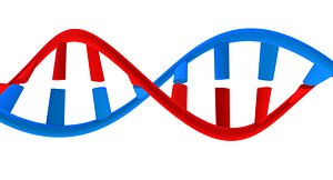 3d model dna ready medical