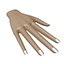hand