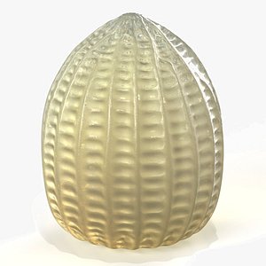 3D Monarch Butterfly Egg in Early Stages of Maturation