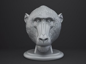 Baboon Bust - Animal Figurine 3D model
