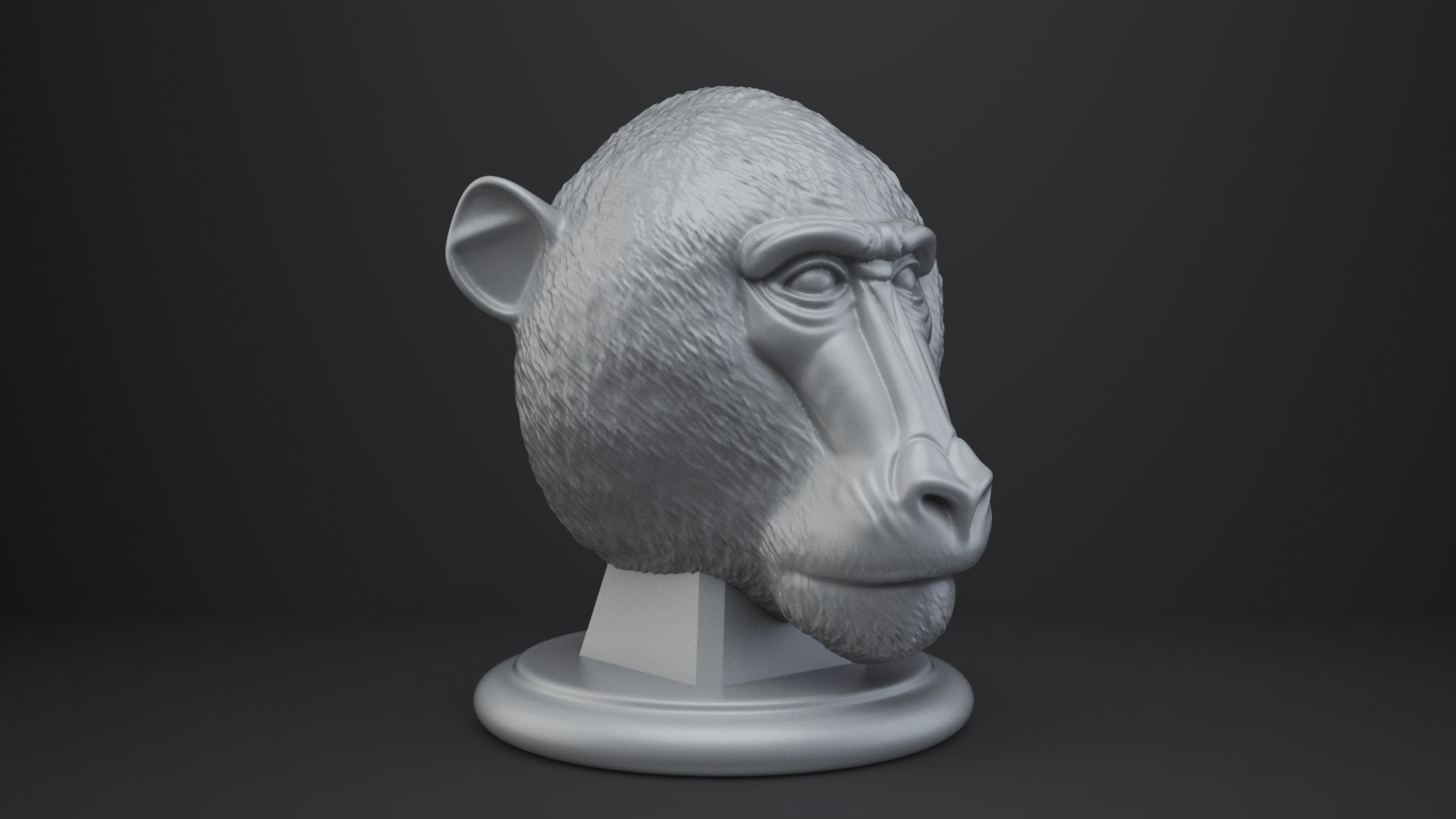 Baboon Bust - Animal Figurine 3D model https://p.turbosquid.com/ts-thumb/0f/JzZxOH/R5/008/png/1762833450/1920x1080/fit_q87/47defecefdb7fafc974c68cfeda17aeed77ec9de/008.jpg