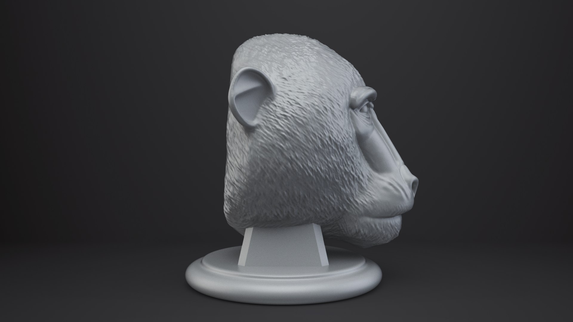 Baboon Bust - Animal Figurine 3D model https://p.turbosquid.com/ts-thumb/0f/JzZxOH/T7/007/png/1762833449/1920x1080/fit_q87/7f54cb7ef275001117f00625156baec157700807/007.jpg