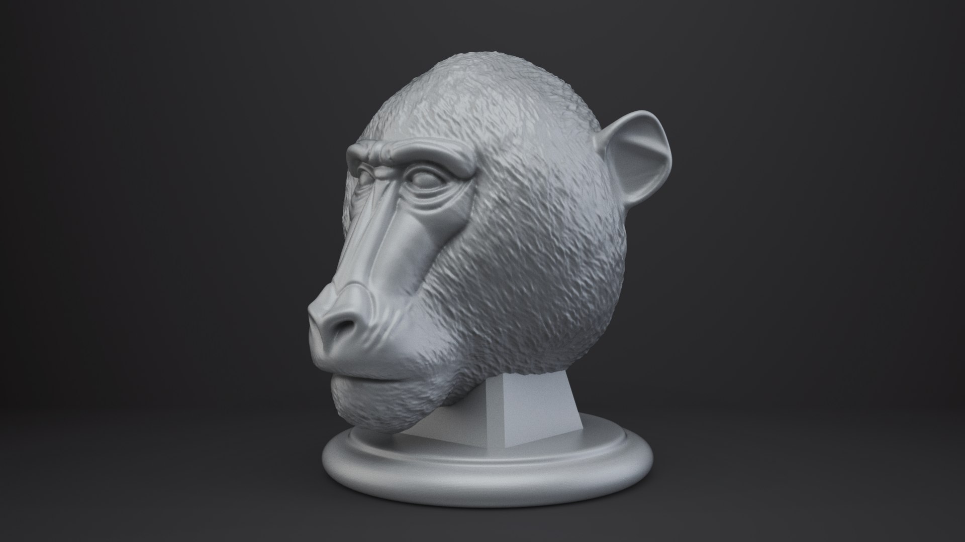 Baboon Bust - Animal Figurine 3D model https://p.turbosquid.com/ts-thumb/0f/JzZxOH/dW/002/png/1762833448/1920x1080/fit_q87/61eb090d1d70619697202cb6967ac7968405a764/002.jpg