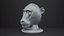 Busto de babuino - Figura de animal