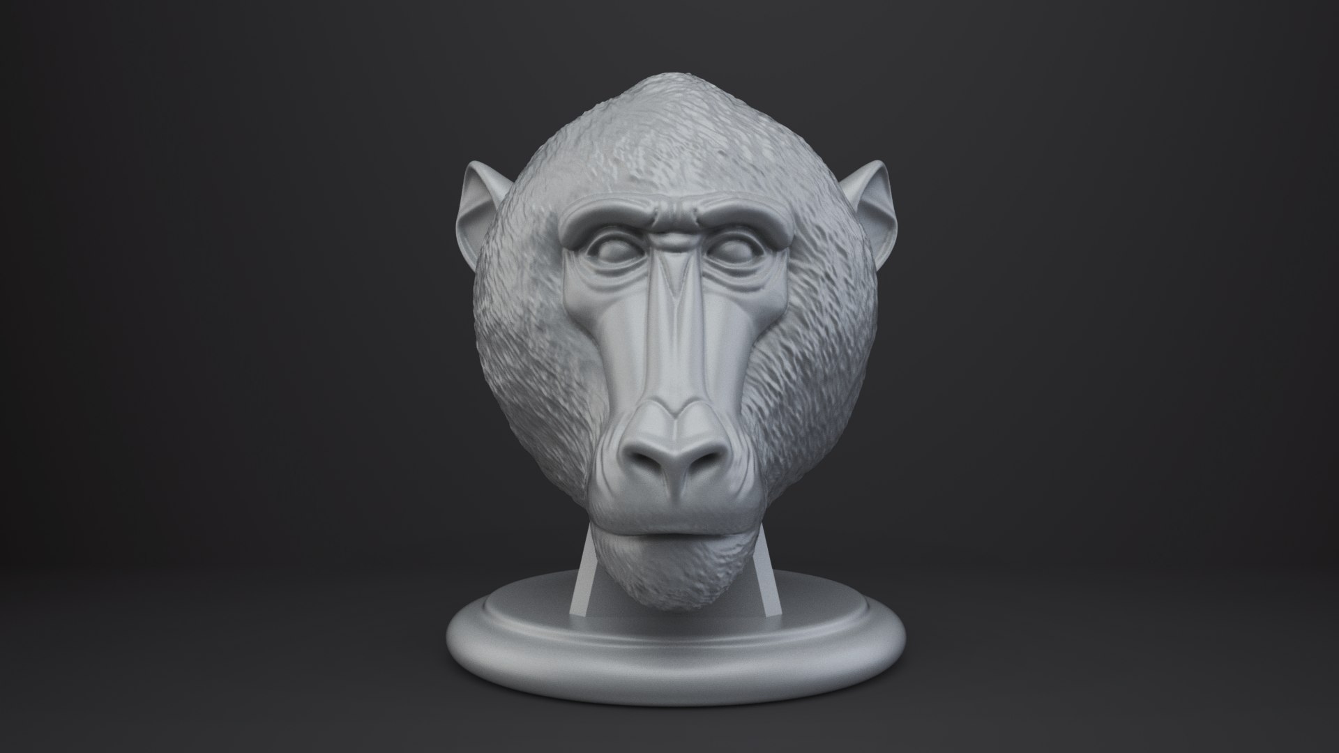 Baboon Bust - Animal Figurine 3D model https://p.turbosquid.com/ts-thumb/0f/JzZxOH/iz/001/png/1762833445/1920x1080/fit_q87/74403c177e28f1aea41ec8d57dfad13d4f3e8370/001.jpg