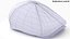 3D Flat Cap Collection model