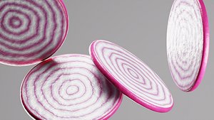 Onion slice 3D model
