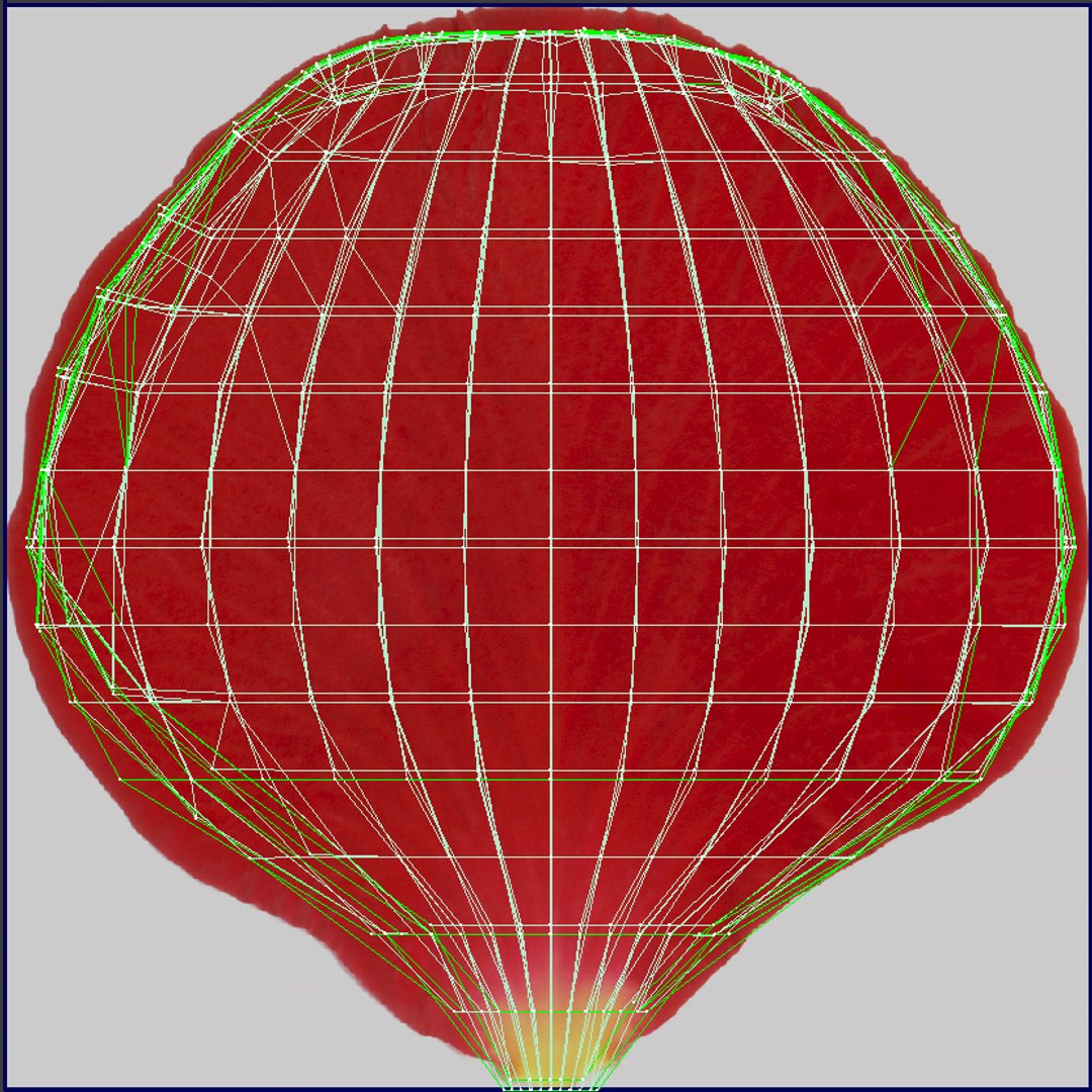 Rose 5 3d Model