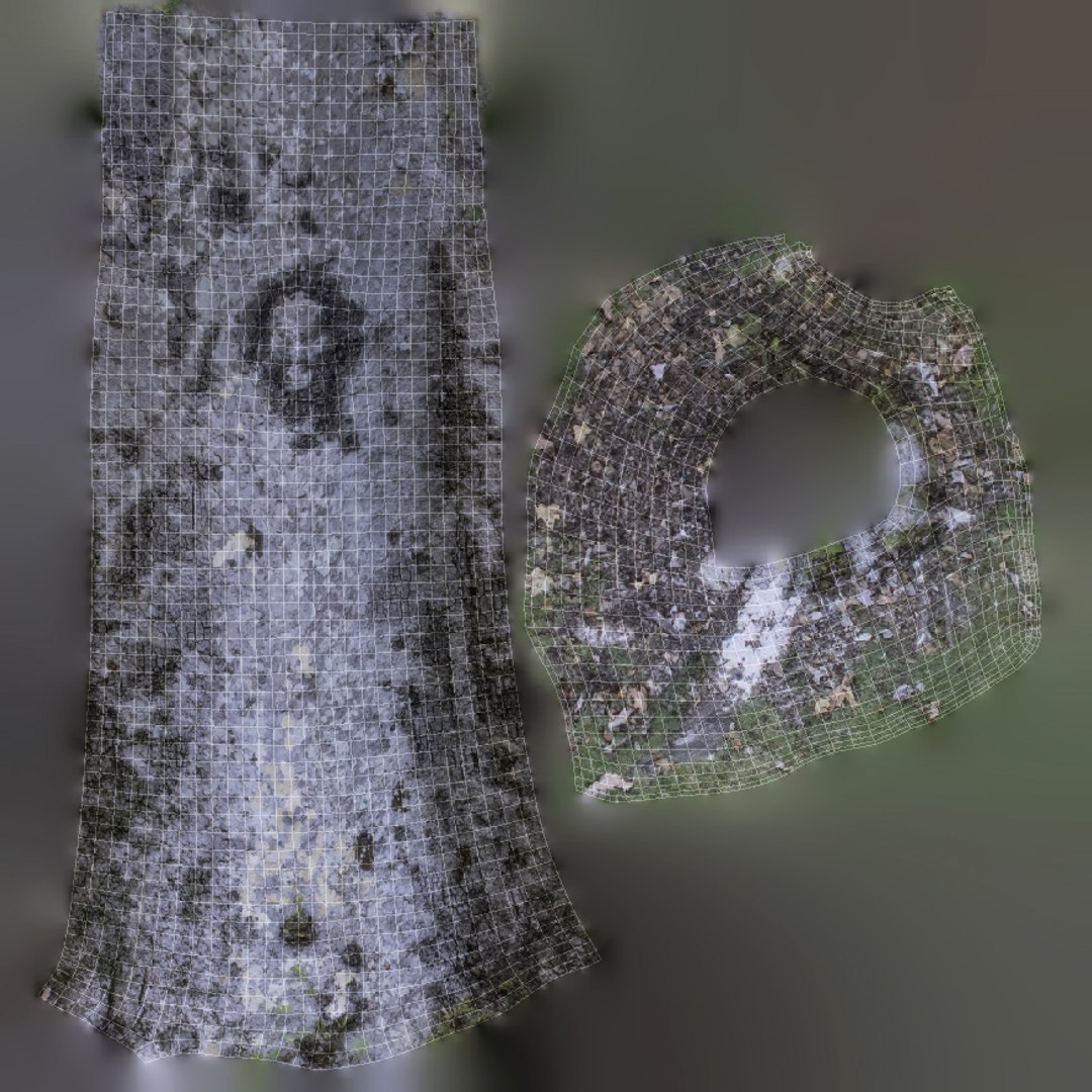 tree trunk - 3D model https://p.turbosquid.com/ts-thumb/0g/0uRGwJ/zlB11dDF/uv_03/jpg/1567298759/1920x1080/fit_q87/86b90e5add639ff1d9009e7fca7ab0dbd92be280/uv_03.jpg