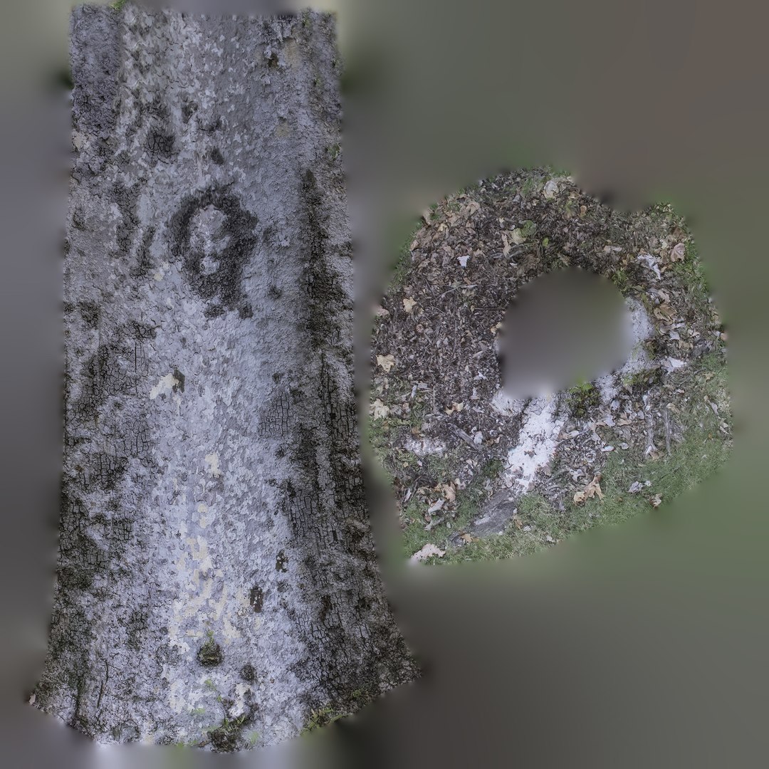 tree trunk - 3D model https://p.turbosquid.com/ts-thumb/0g/0uRGwJ/zyzTzLAm/diffuse_map/jpg/1567302884/1920x1080/fit_q87/9f667938feb3cea8152fe54130cbc2762264b1cc/diffuse_map.jpg