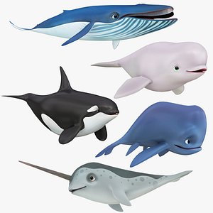 Cartoon Whale Collection 3D
