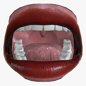 3D MTH-004 Rigged Woman Mouth