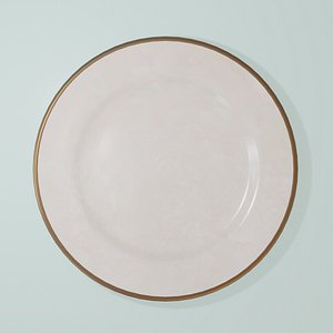Plate