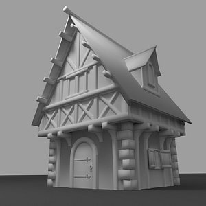 Medieval Habitation
