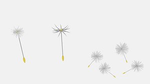3D dandelion pack