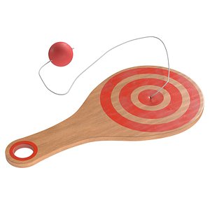 Paddle ball model