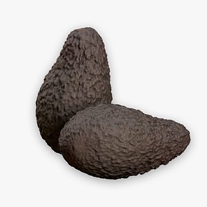 3D Avocado LoRes model