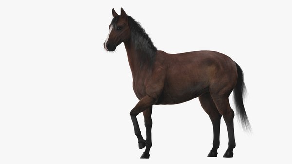 3D Horse ANIMATED - TurboSquid 1870202
