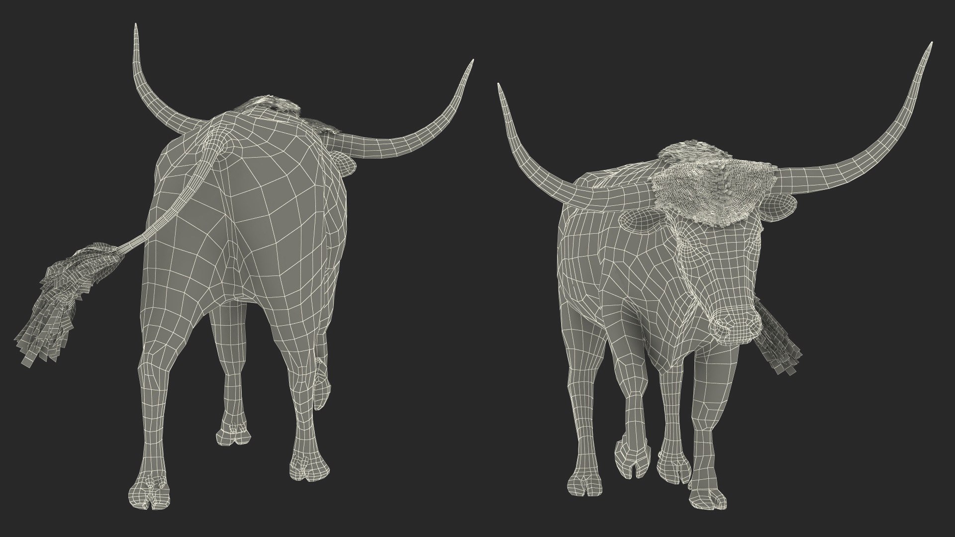 3D model White Texas Longhorn Bull Walking Pose https://p.turbosquid.com/ts-thumb/0g/cMbKup/Ap/whitetexaslonghornbullwalkingposec4dmodel026/jpg/1706618497/1920x1080/fit_q87/b05287f6162b759ec20fa53f560fdfb285e06c5b/whitetexaslonghornbullwalkingposec4dmodel026.jpg