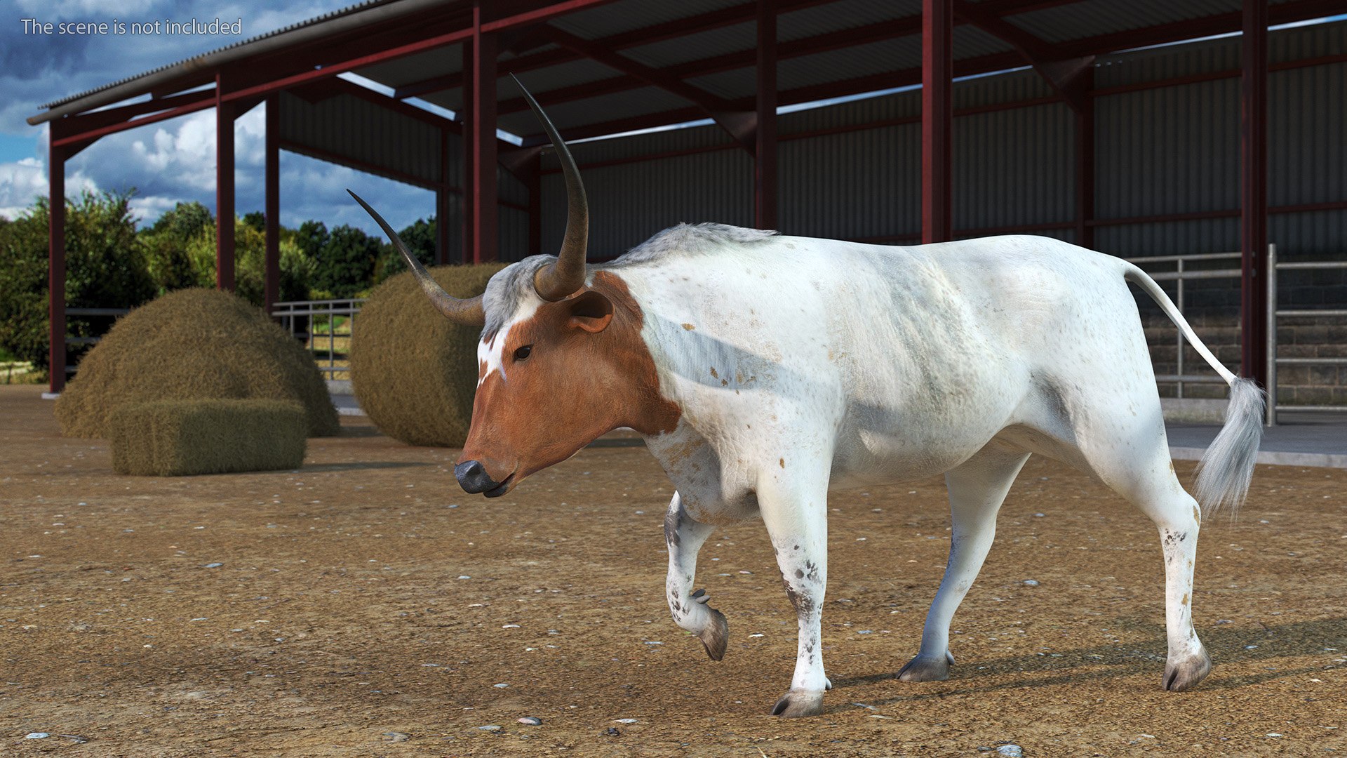 3D model White Texas Longhorn Bull Walking Pose https://p.turbosquid.com/ts-thumb/0g/cMbKup/Xq/whitetexaslonghornbullwalkingposec4dmodel002/jpg/1706618396/1920x1080/fit_q87/a627269cca45ae225d95e2cde126897e7a0a489f/whitetexaslonghornbullwalkingposec4dmodel002.jpg