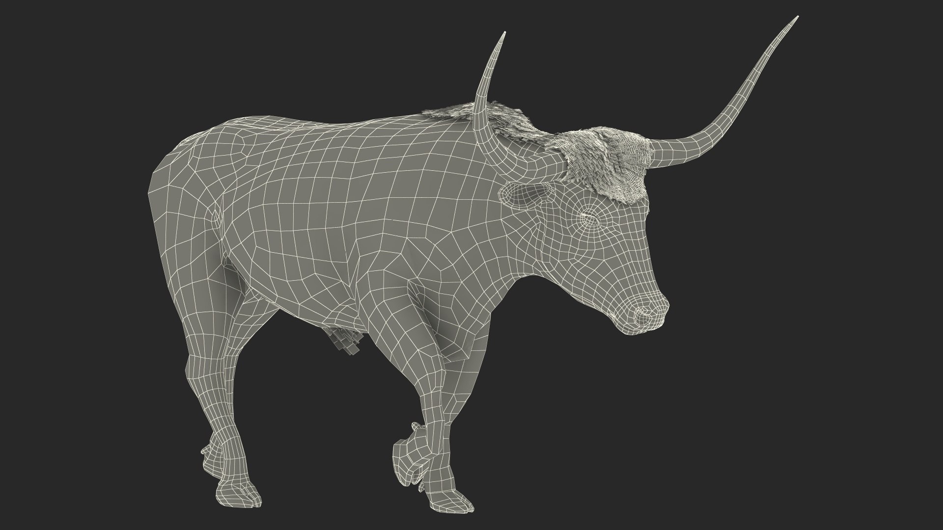 3D model White Texas Longhorn Bull Walking Pose https://p.turbosquid.com/ts-thumb/0g/cMbKup/qj/whitetexaslonghornbullwalkingposec4dmodel027/jpg/1706618501/1920x1080/fit_q87/b48c54bce61f486ba803ef78a5c015edb3e51fec/whitetexaslonghornbullwalkingposec4dmodel027.jpg