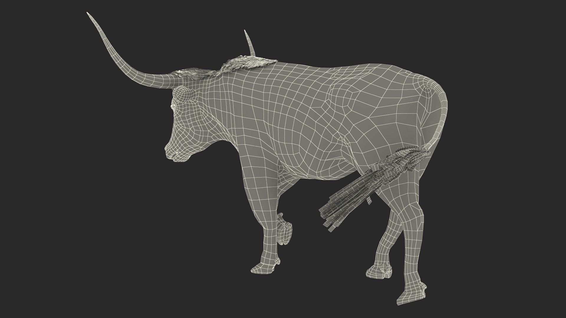 3D model White Texas Longhorn Bull Walking Pose https://p.turbosquid.com/ts-thumb/0g/cMbKup/sh/whitetexaslonghornbullwalkingposec4dmodel028/jpg/1706618506/1920x1080/fit_q87/7d5661f304035b31653da80d52325c7e4733fd3d/whitetexaslonghornbullwalkingposec4dmodel028.jpg
