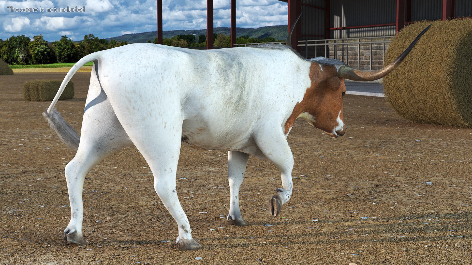 3D model White Texas Longhorn Bull Walking Pose https://p.turbosquid.com/ts-thumb/0g/cMbKup/vw/whitetexaslonghornbullwalkingposec4dmodel005/jpg/1706618412/1920x1080/fit_q87/7817f01caba67d99472a793fb688c86fca885b8d/whitetexaslonghornbullwalkingposec4dmodel005.jpg