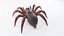 Trapdoor Spider2