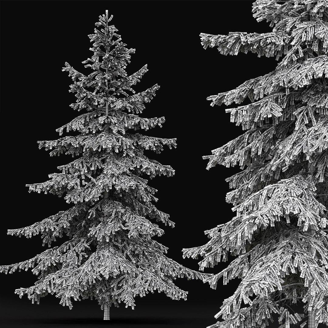 forest spruce trees 3D model https://p.turbosquid.com/ts-thumb/0h/9NweyC/mB8UHYIS/z/jpg/1549716803/1920x1080/fit_q87/2319e1b08f94b79ed7c194620d556488dc798565/z.jpg